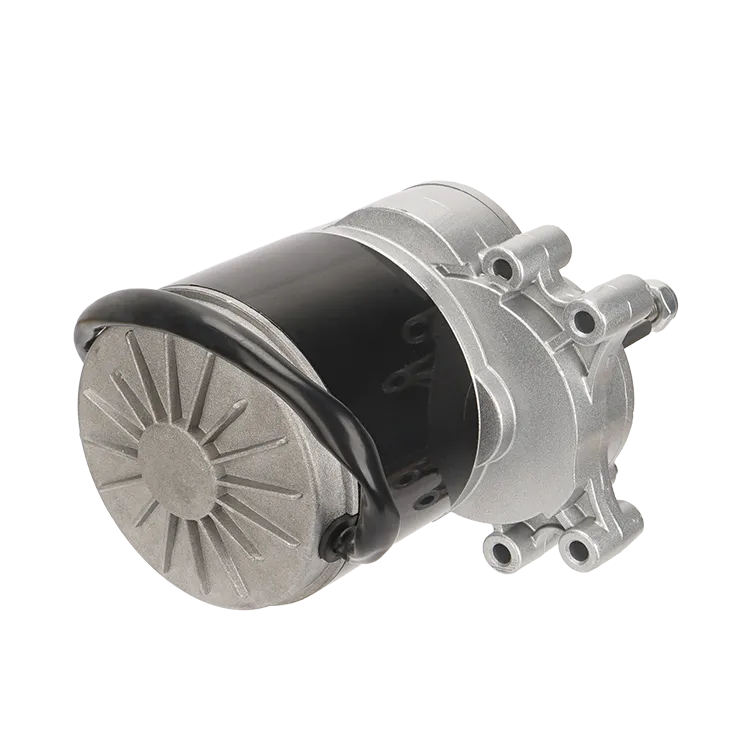 250W 24V 75rpm 120rpm 160rpm DC wheelchair motor