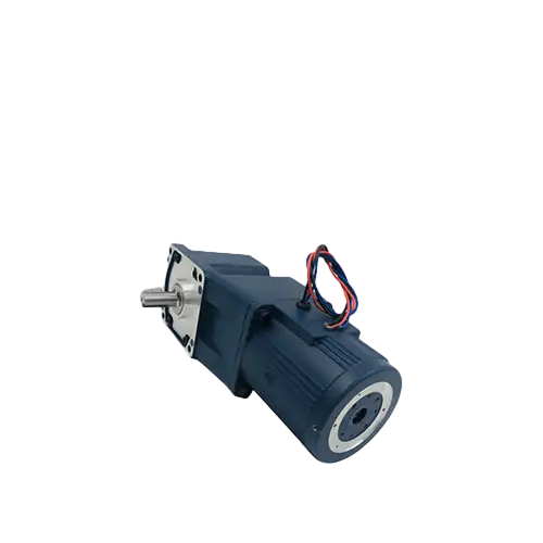 60W AC Worm Gear Motor