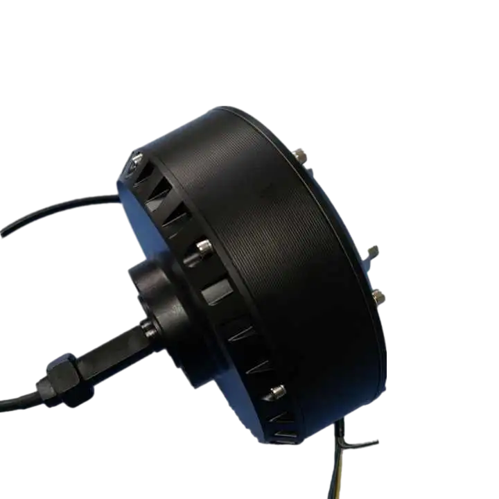 10 inch 24V-60V Brushless DC 500W-2000W Unilateral Shaft Hub Motor High Speed Golf Cart Motor