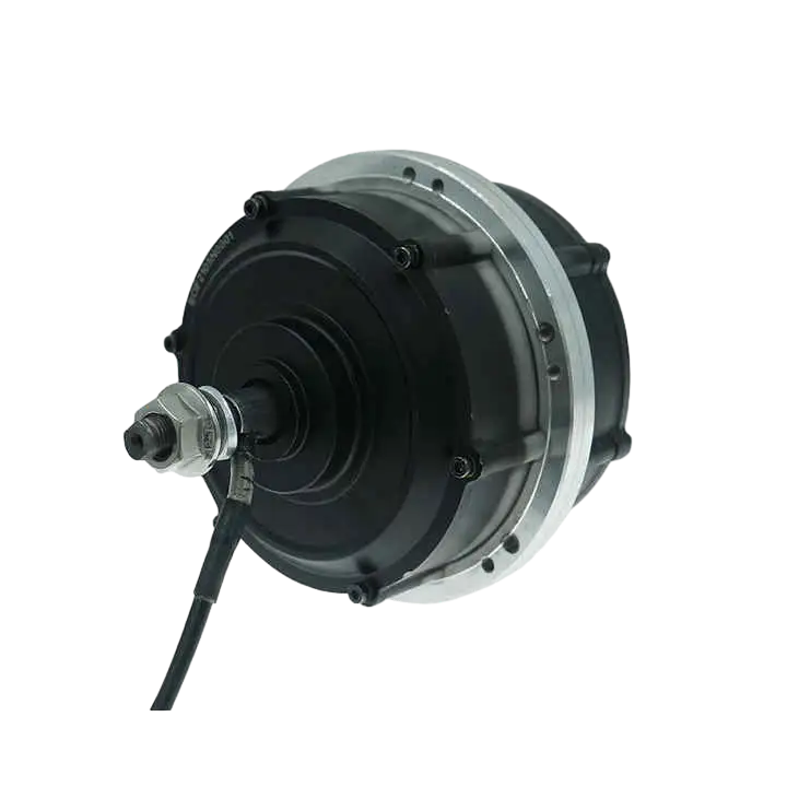 14inch Low Speed 6KMH-10kmh Geared Hub Motor 24v 36v 48v 350w-750w Doouble Shaft Hub Motor