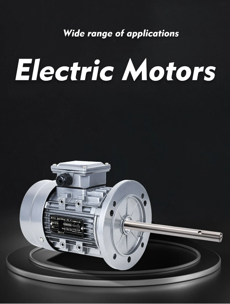 Three Phase 380V-440V 370W 50Hz-60Hz AC Motor induction motor