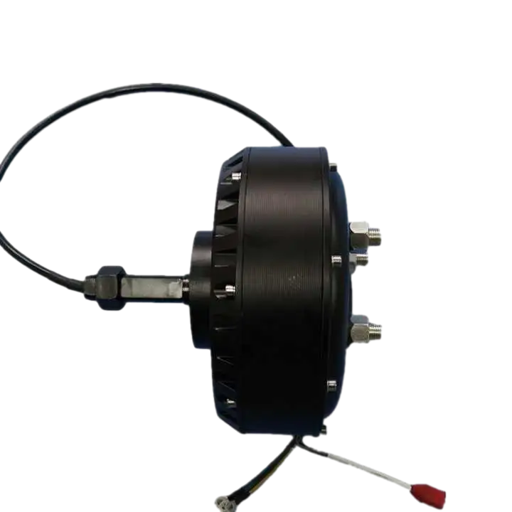 10 inch 24V-60V Brushless DC 500W-2000W Unilateral Shaft Hub Motor High Speed Golf Cart Motor